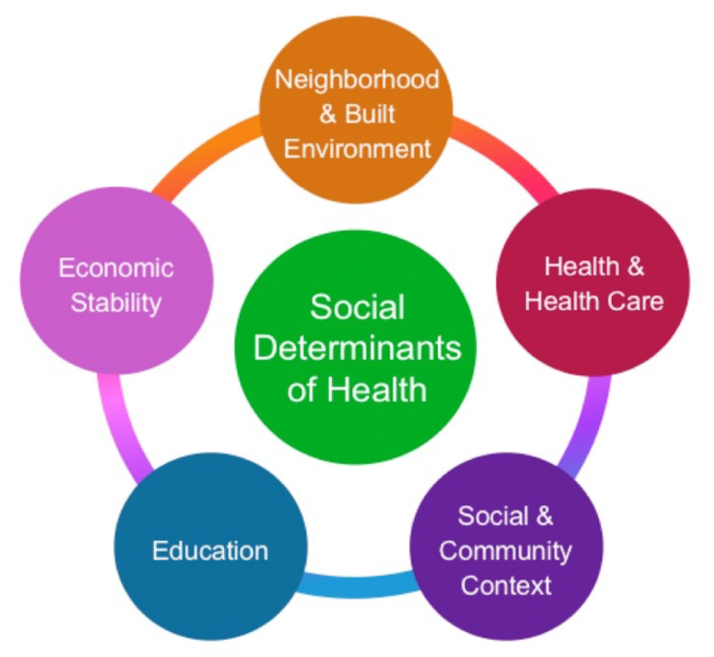 Social Determinants of Health Graphic